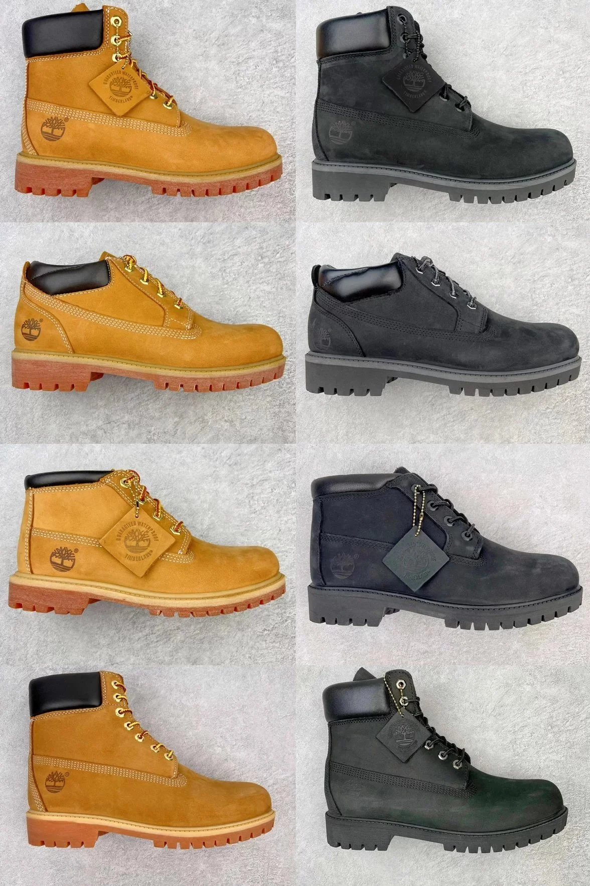 Timberland Classic 6-Inch Premium Waterproof Boot - Wheat/Navy
